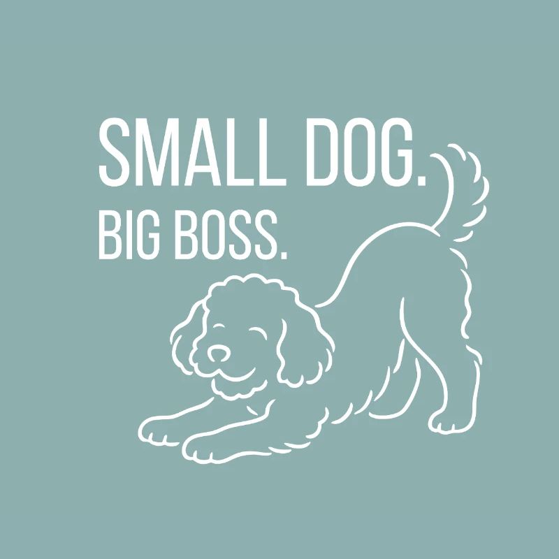 Zwergpudel, Malti-poo oder Königspudel 