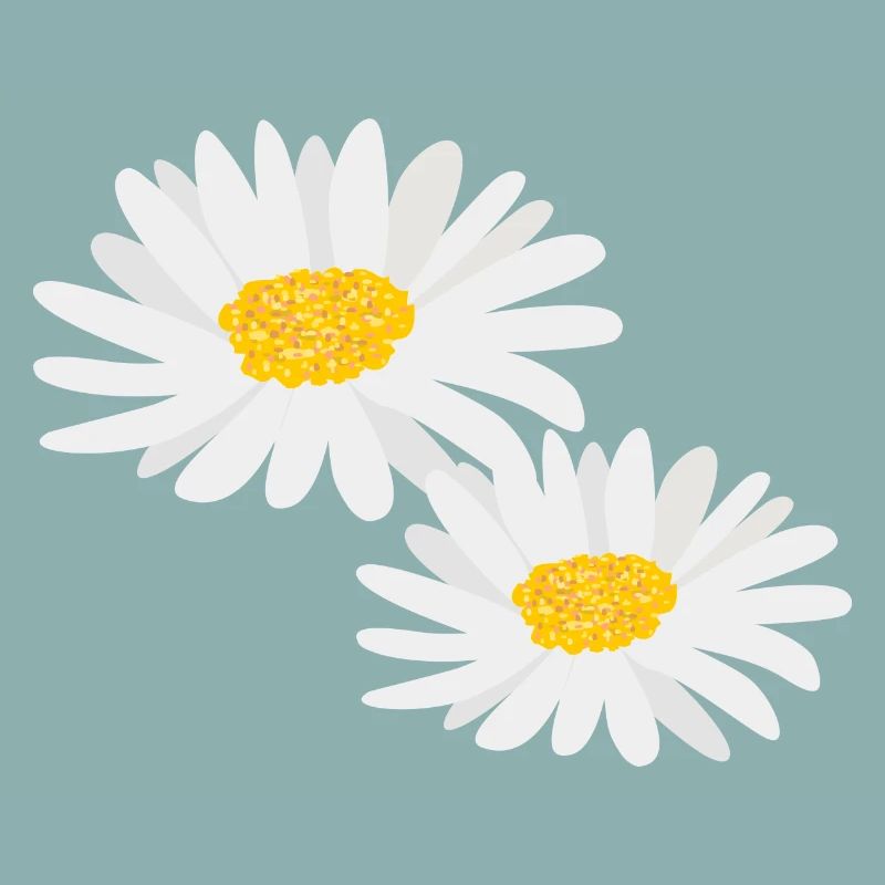 Blume Gänseblümchen