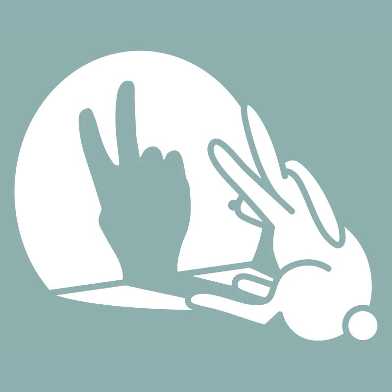Rabbit shadow hand birthday two 2 years