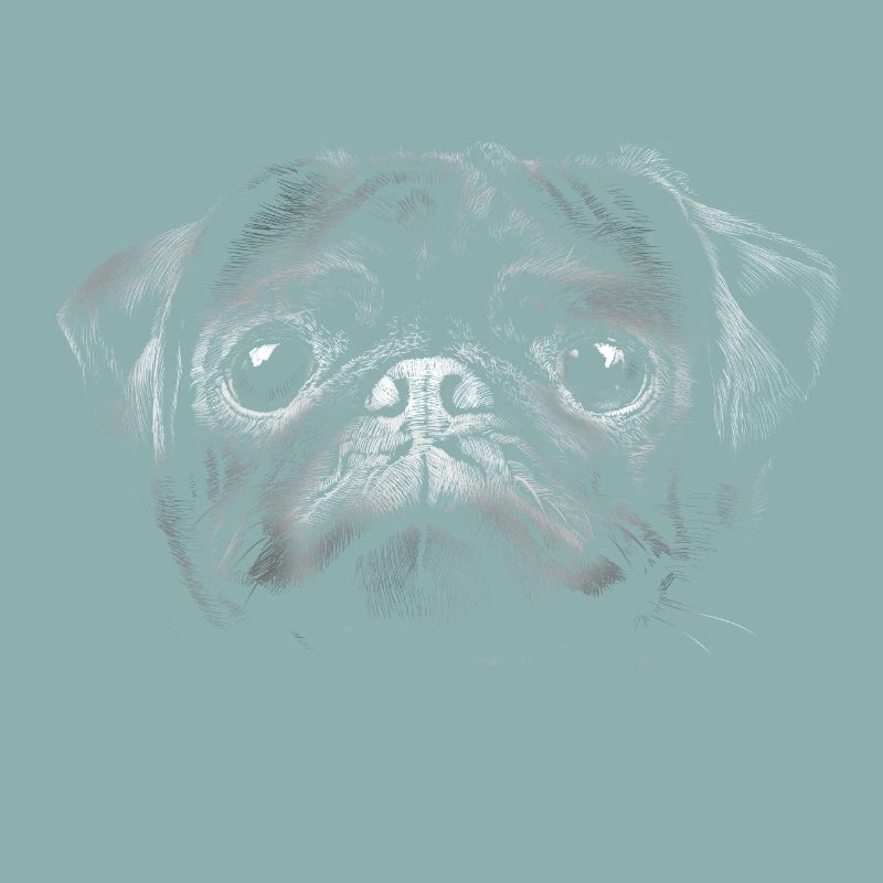 Mops