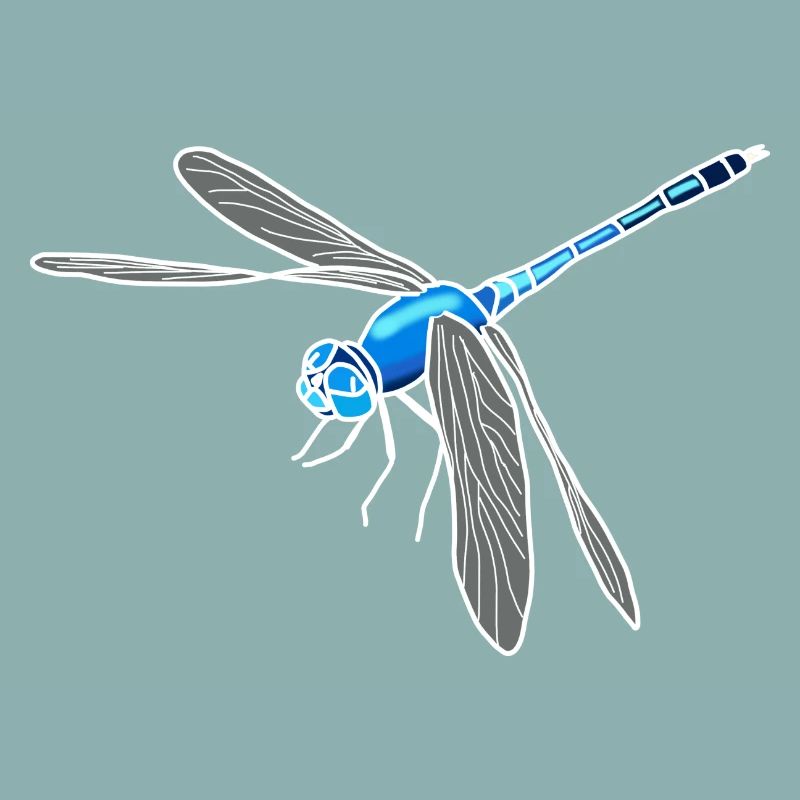 Libellule