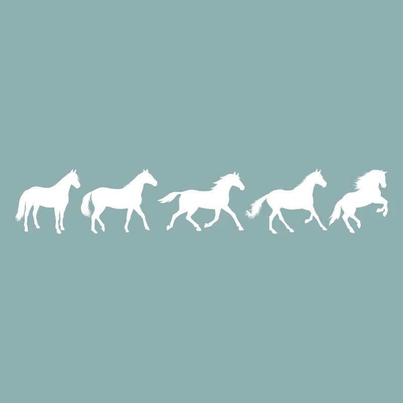 ! Evolution Pferd in Bewegung