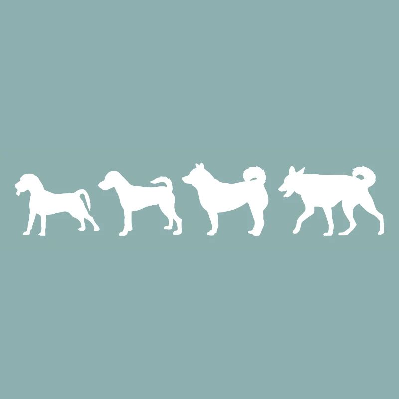 Évolution du chien