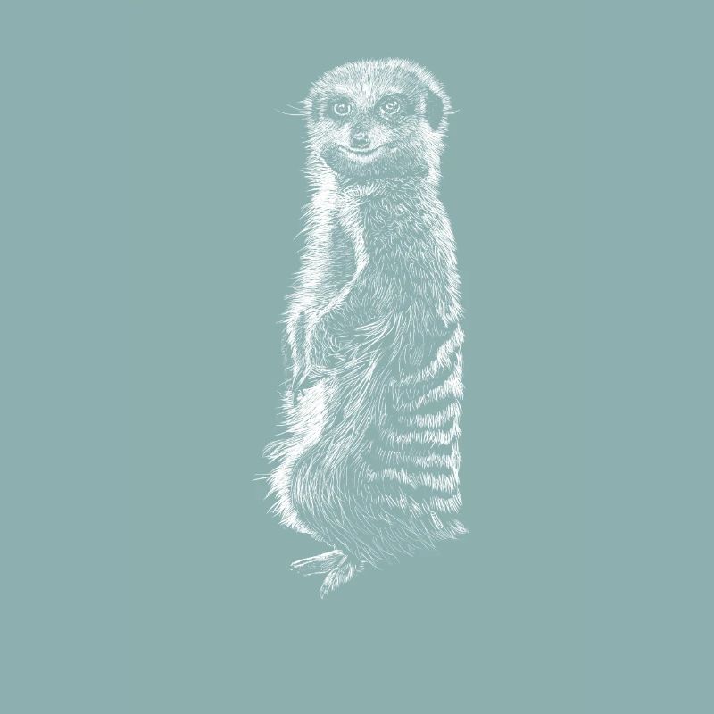 Erdmännchen