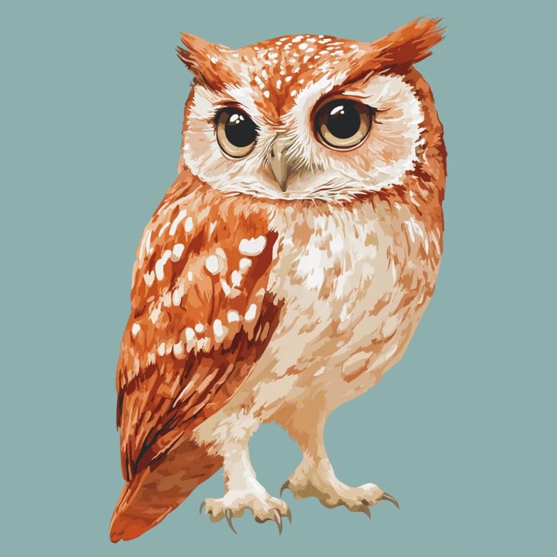Eule
