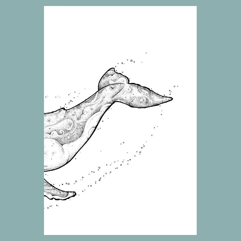 Baleine à bosse B