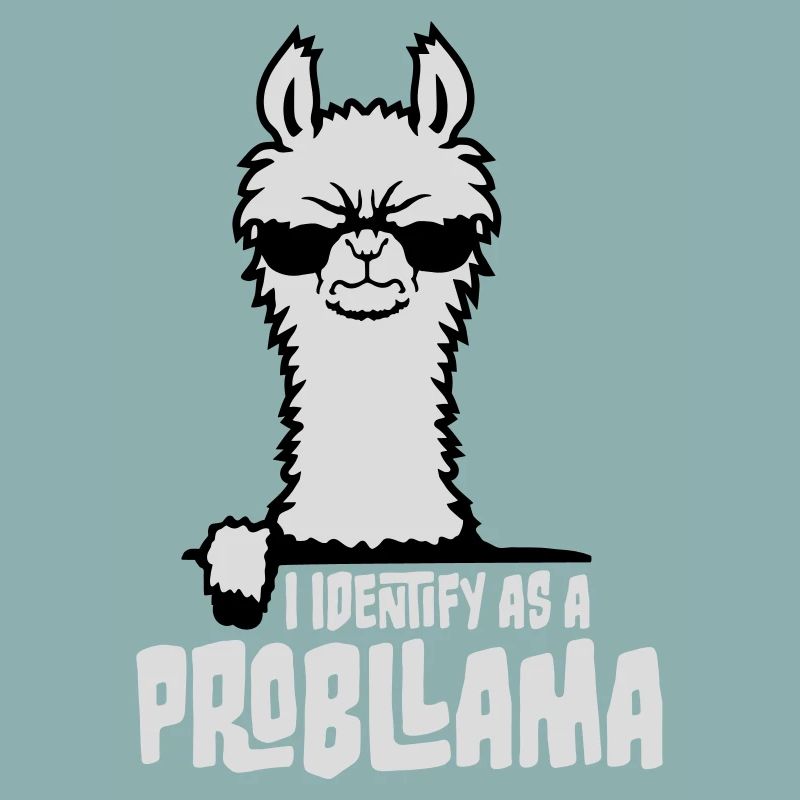 Je m’identifie comme un probllama Cool Lama Problem Spruch