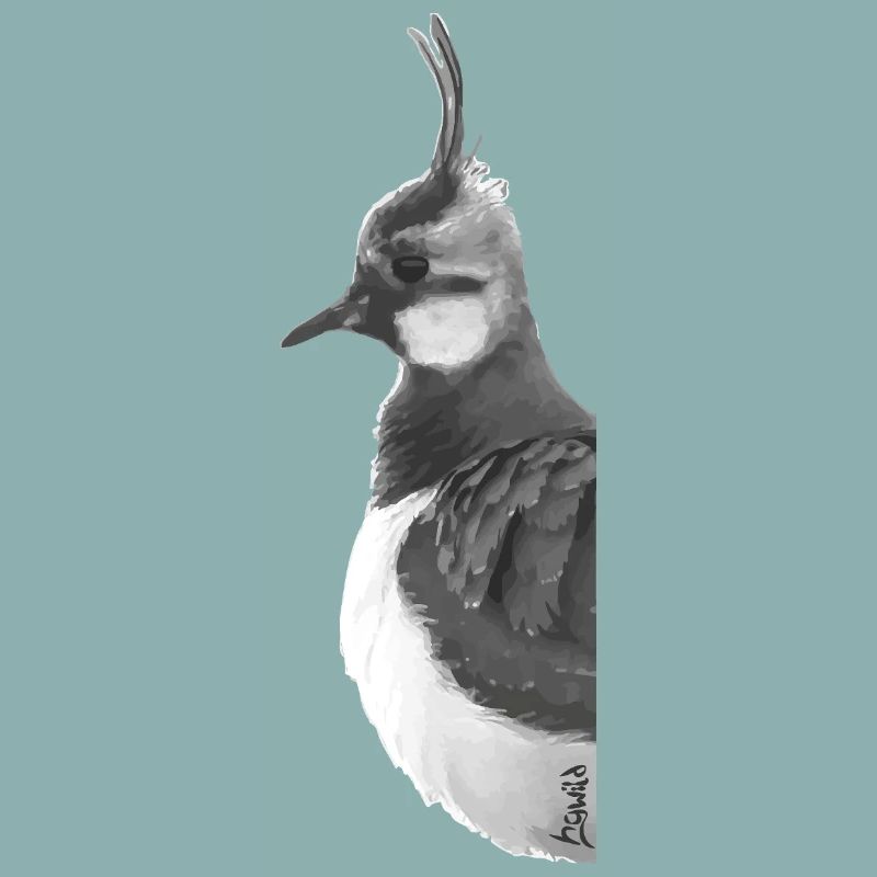 Lapwing Portrait