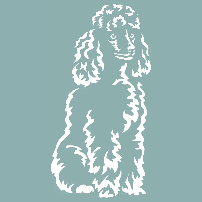 Caniche « Black Edition »