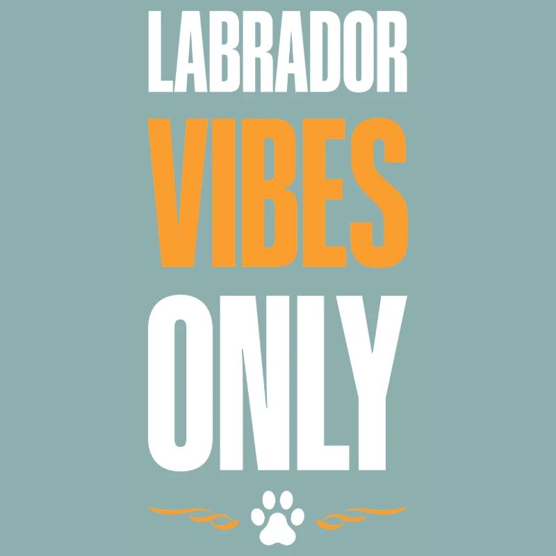 Labrador Vibes Only