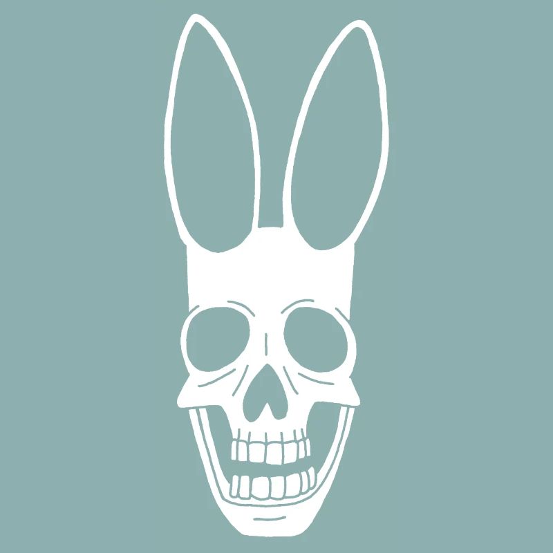 Crâne de lapin blanc