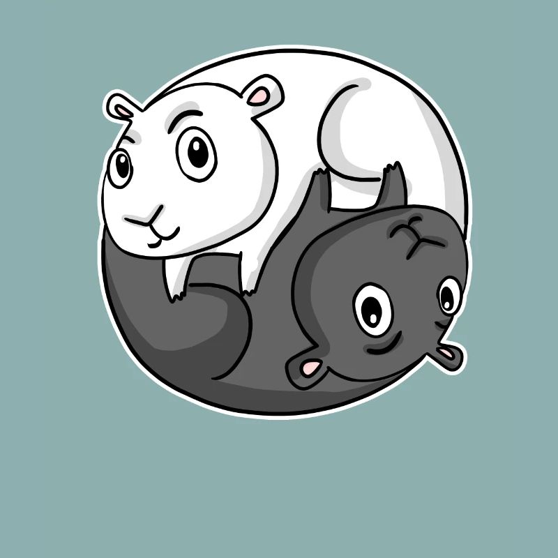 Cochon d’Inde Yin Yang Cochon d’Inde