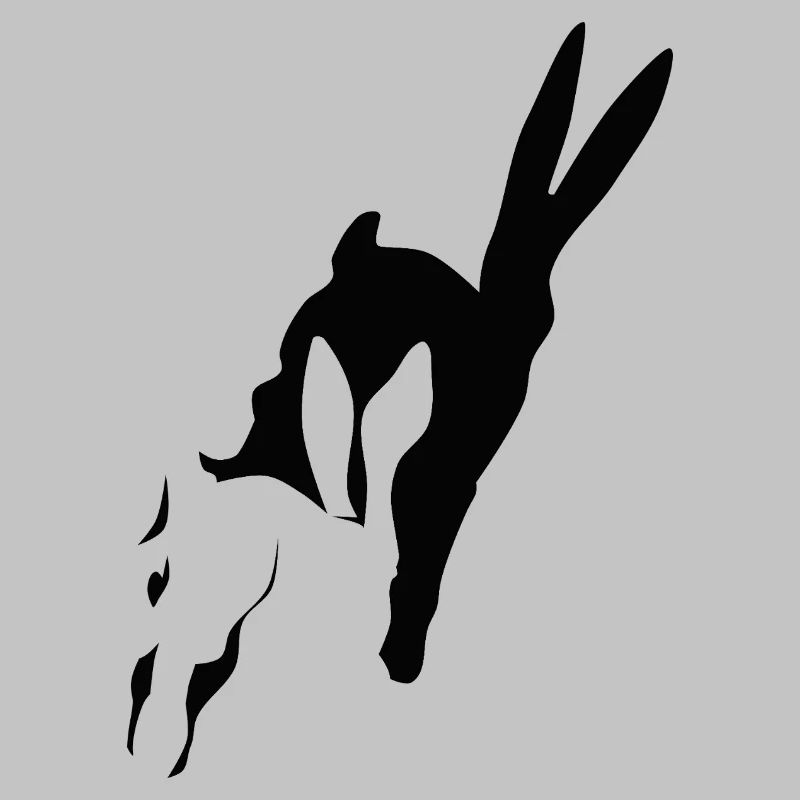 Bunny runs shadow bunny Easter bunny rabbit hop