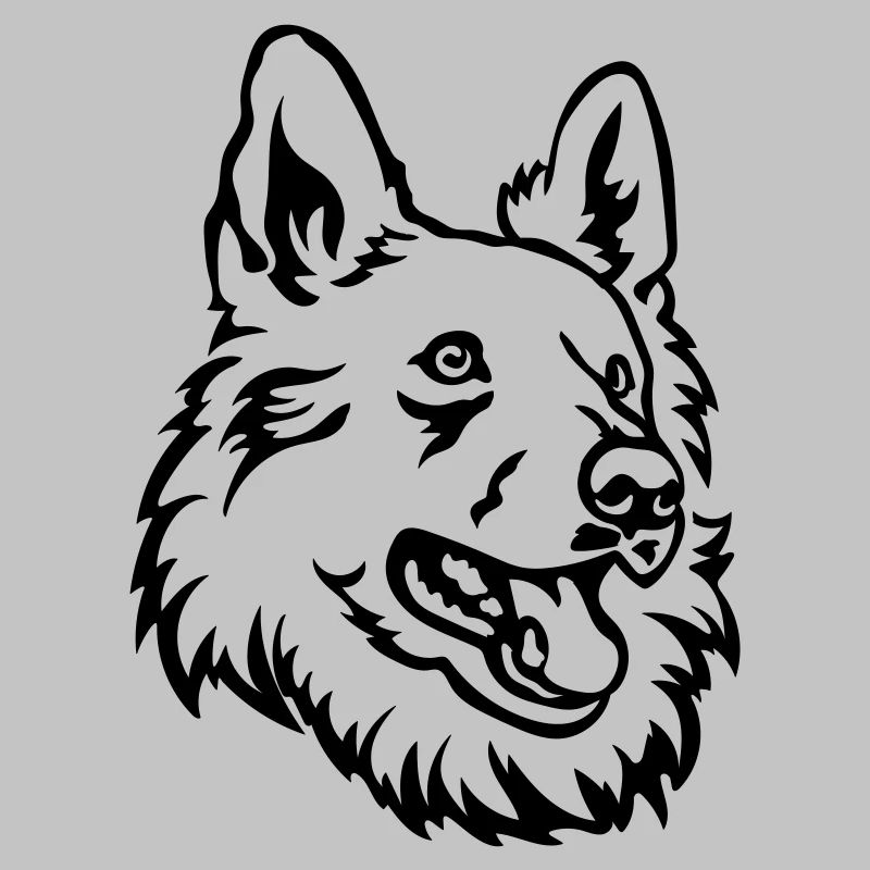 Schweizer Schäferhund Kopf