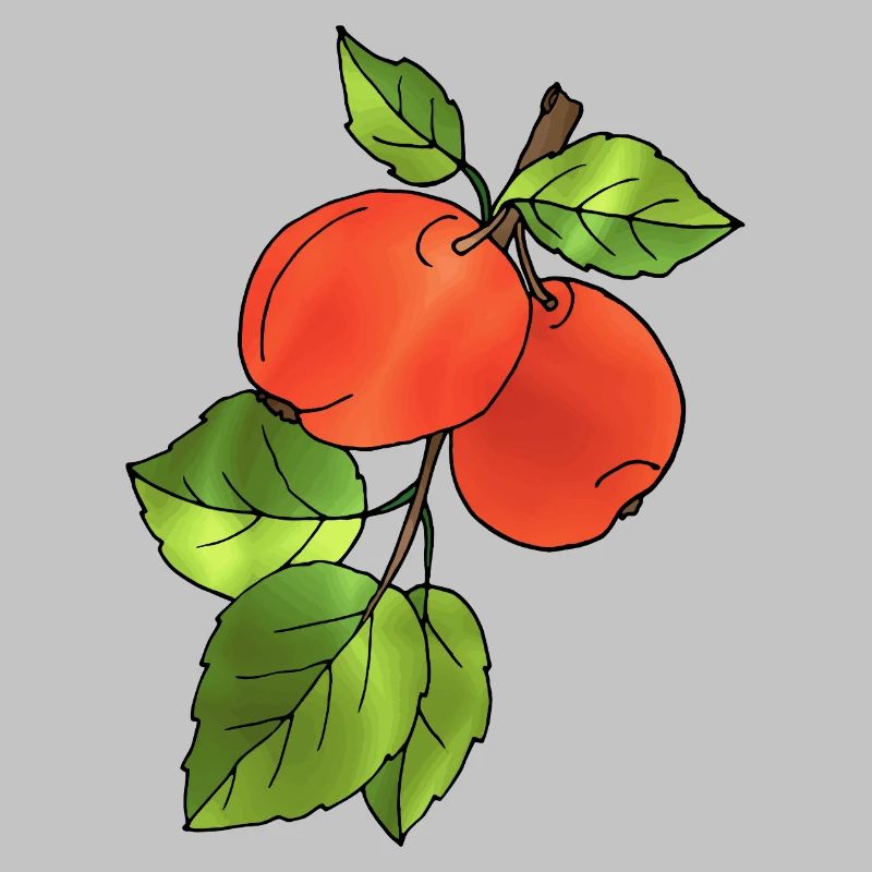 Apples