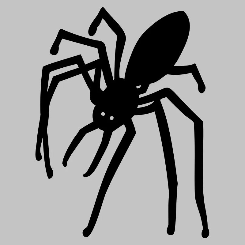 spider