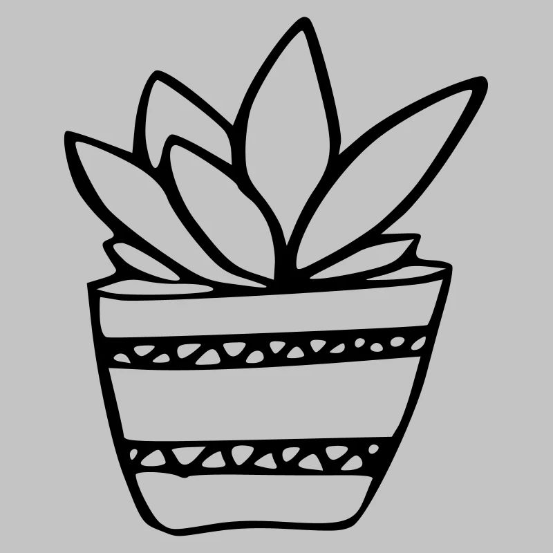 Plante