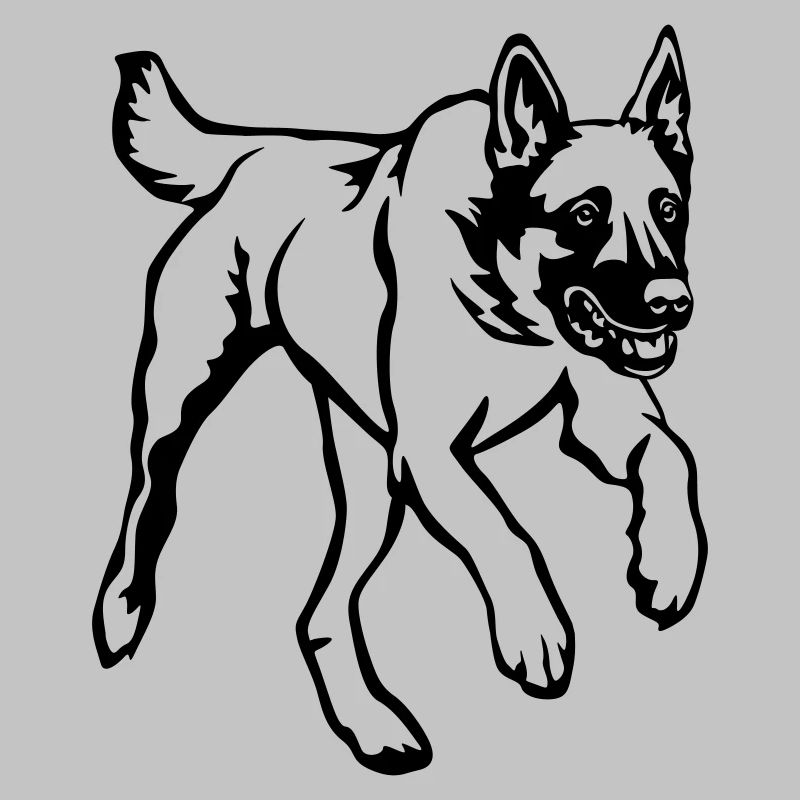Malinois