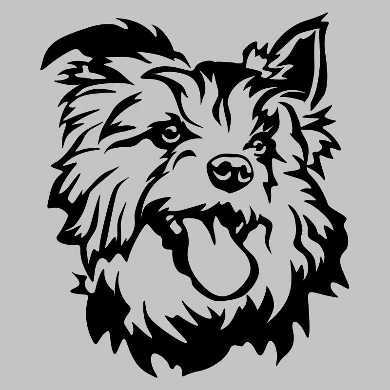 Tête de terrier australien