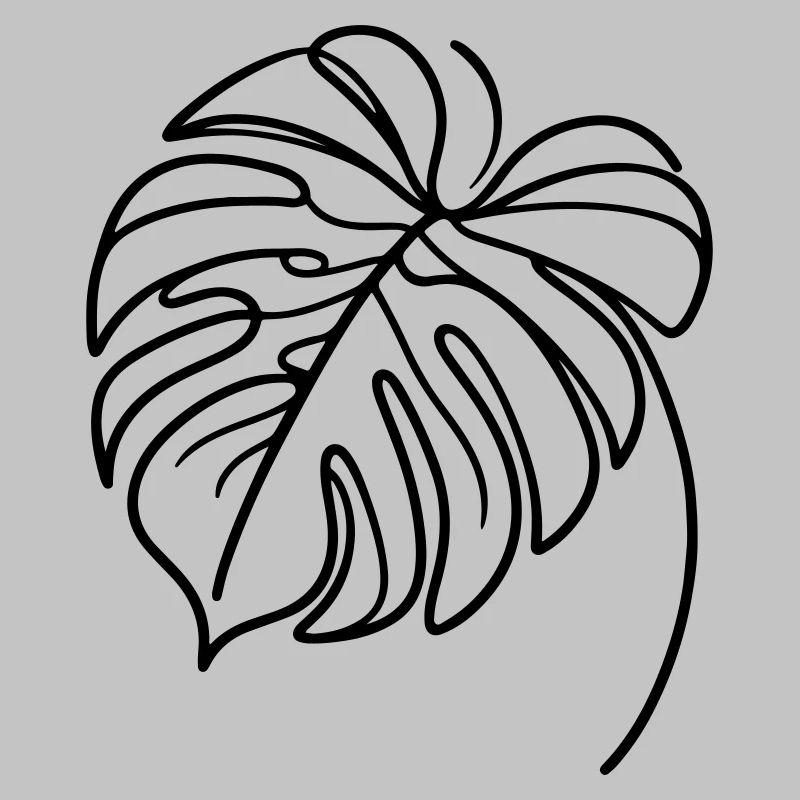 Monstera