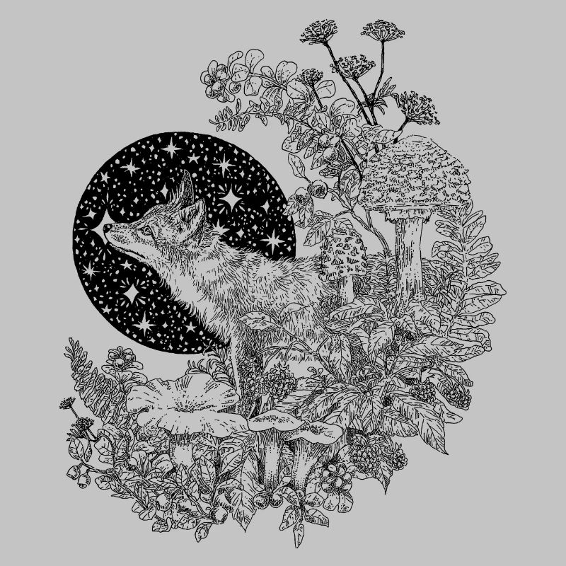FUCHS & NACHTHIMMEL