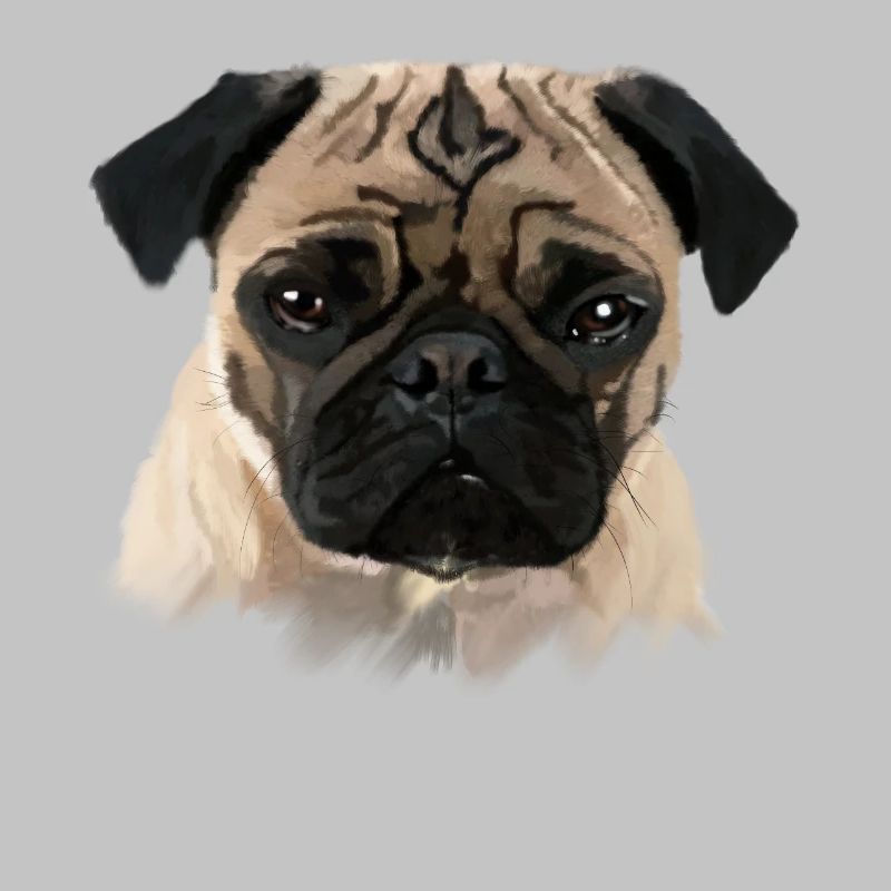 Mops