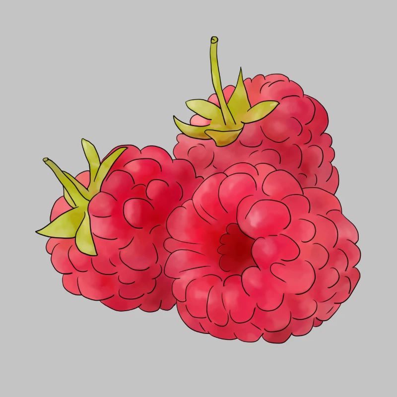 Himbeeren