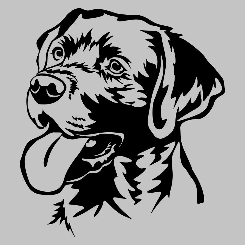 Labrador Retriever Kopf