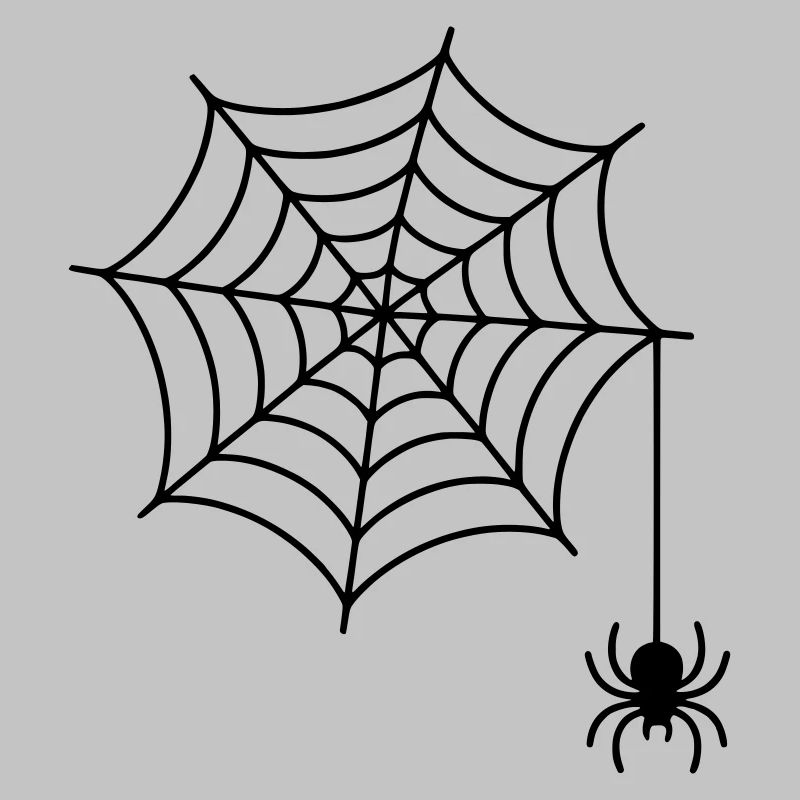 Spider web with spider silhouette