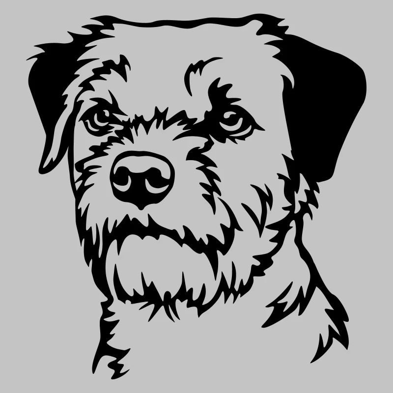 Tête de Border Terrier