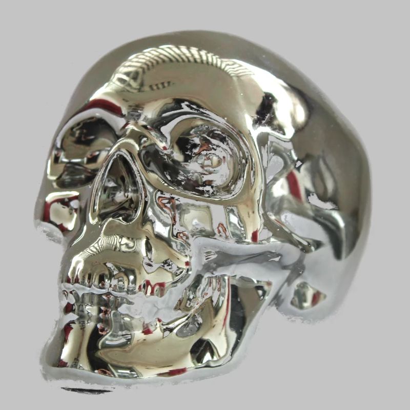 Crâne d'argent