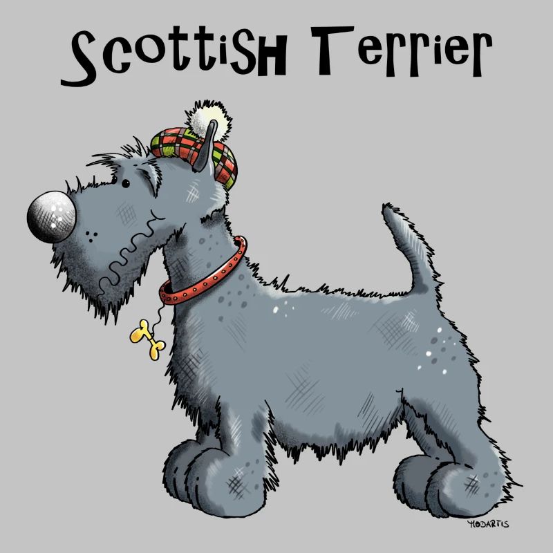 Silvius der Scottish Terrier