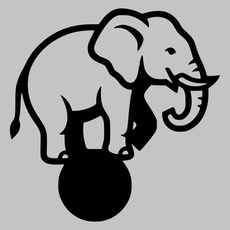 Acrobaties du Cirque Elephant Ball