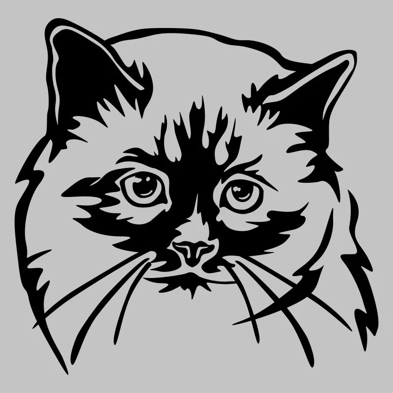 Birma Katze