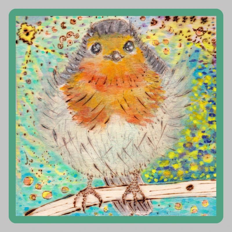 Rotkehlchen /Robin