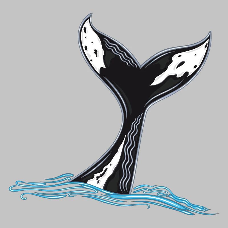 Rorqual commun