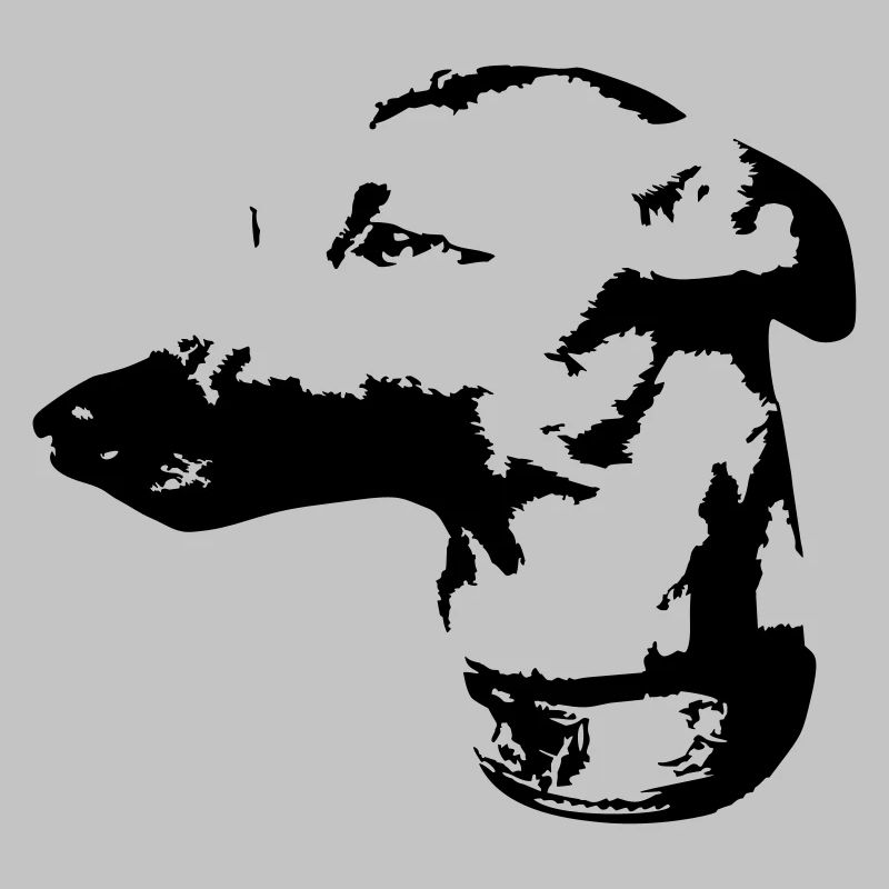 Whippet head