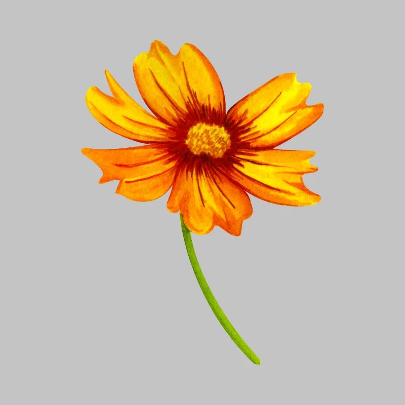 Blume