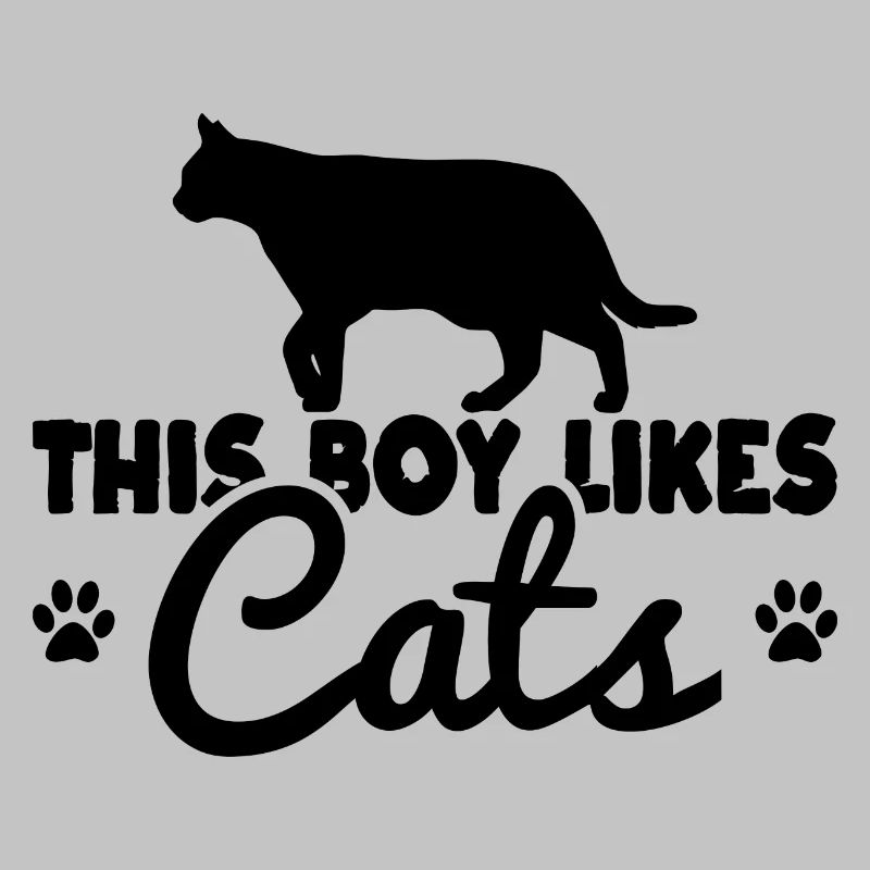 Katzen Junge