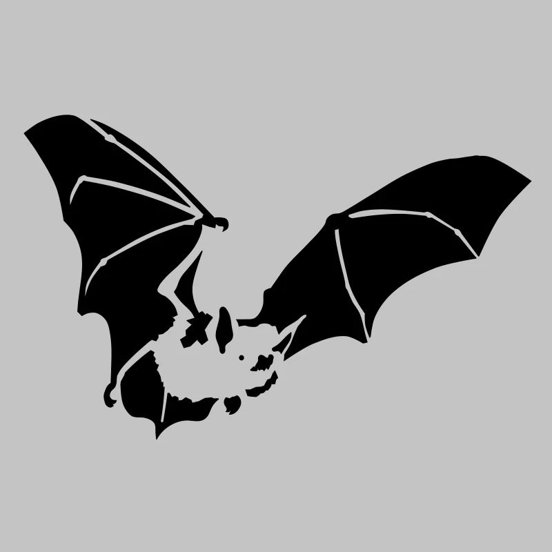 fledermaus