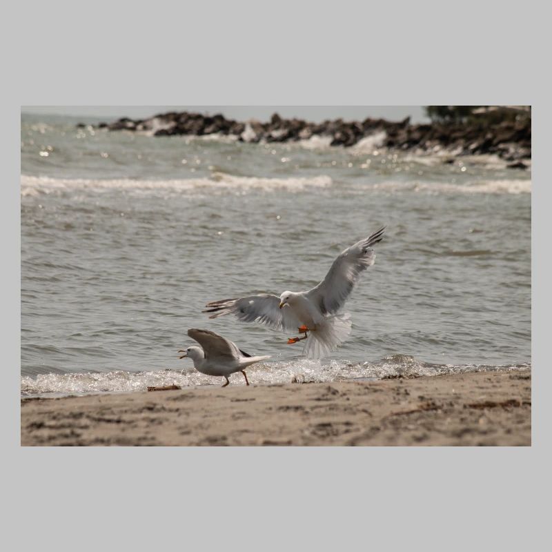 Zwischen Himmel und Meer