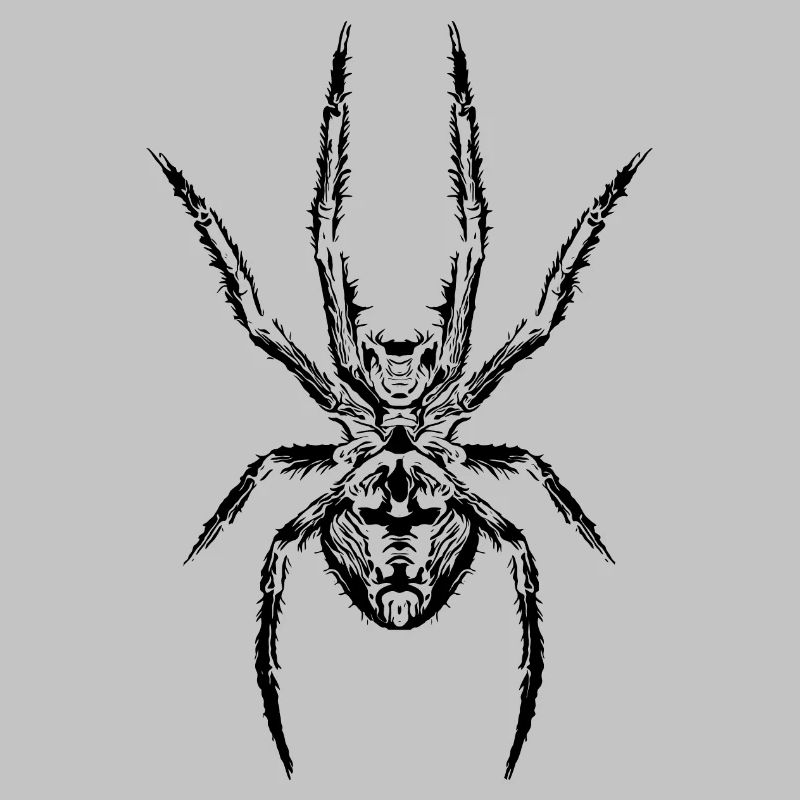 Le pouvoir de l’araignée : le symbole de la force et du mystère