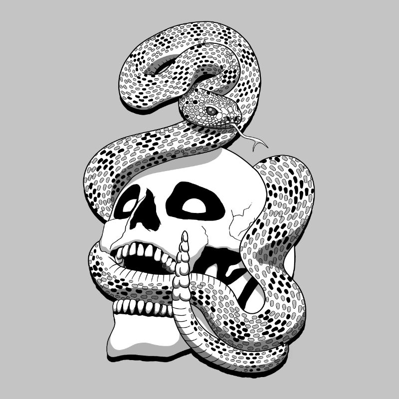 Serpent à sonnette et crâne
