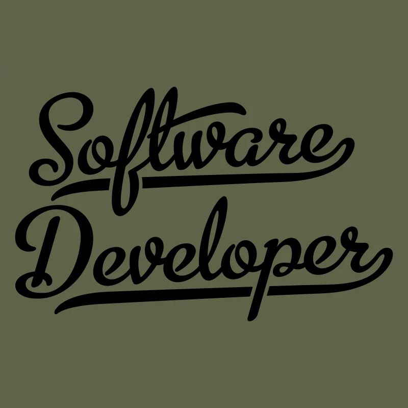Software Developer