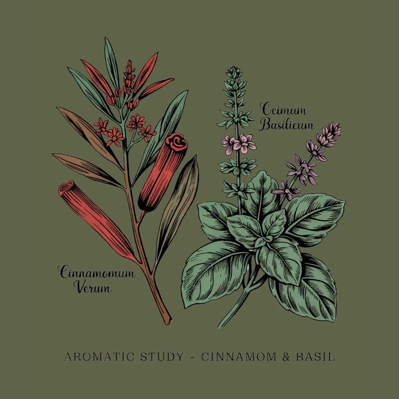 Cinnamon & Basil - Botany