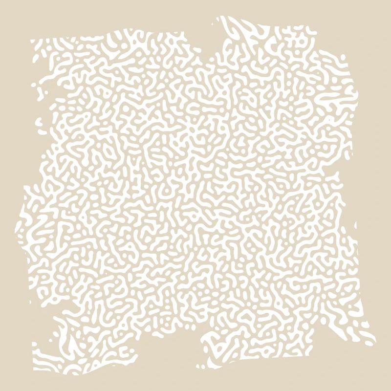 Turing Pattern Blanc - Ver
