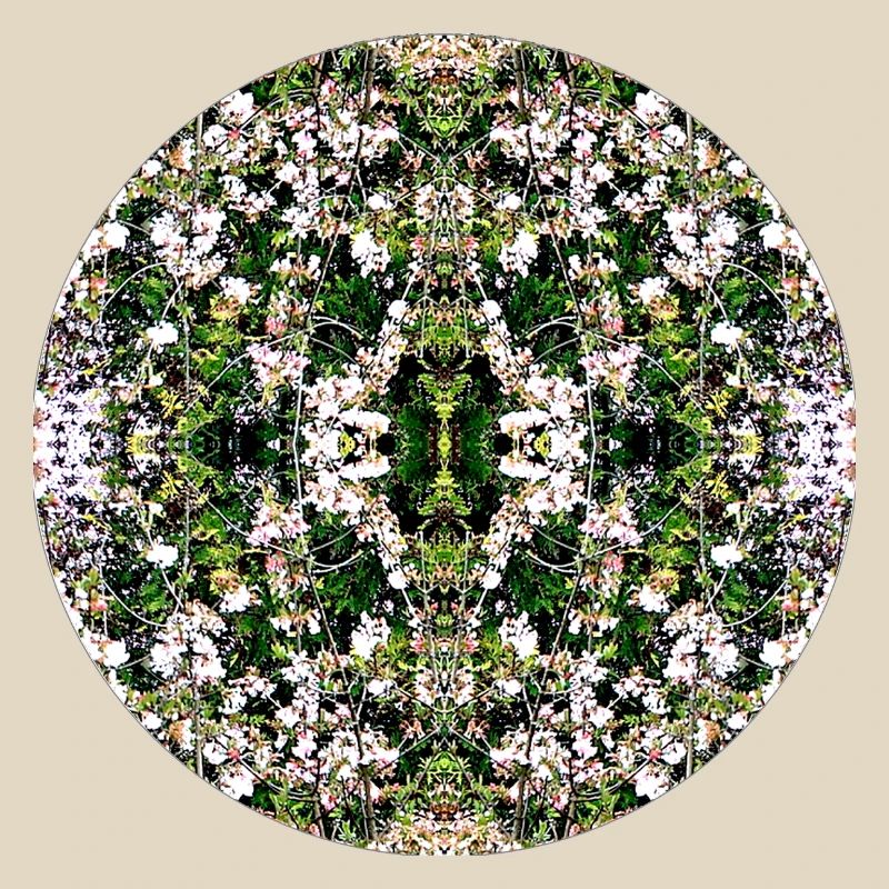 Source du Mandala de la Nature à Nuremberg