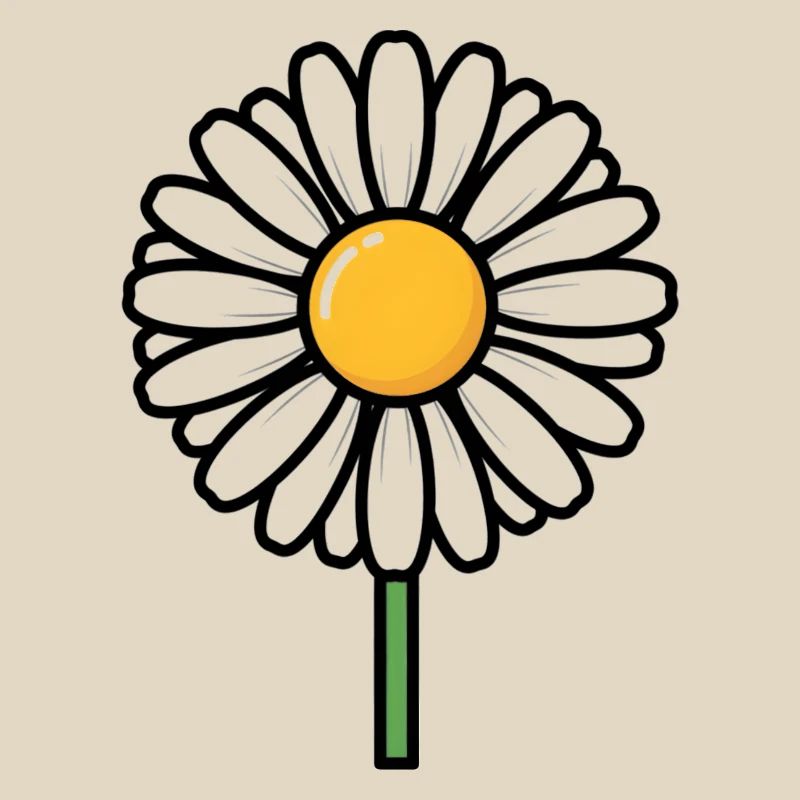 daisy