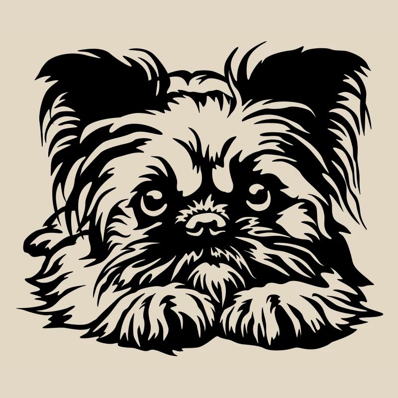 Brussels Griffon Head