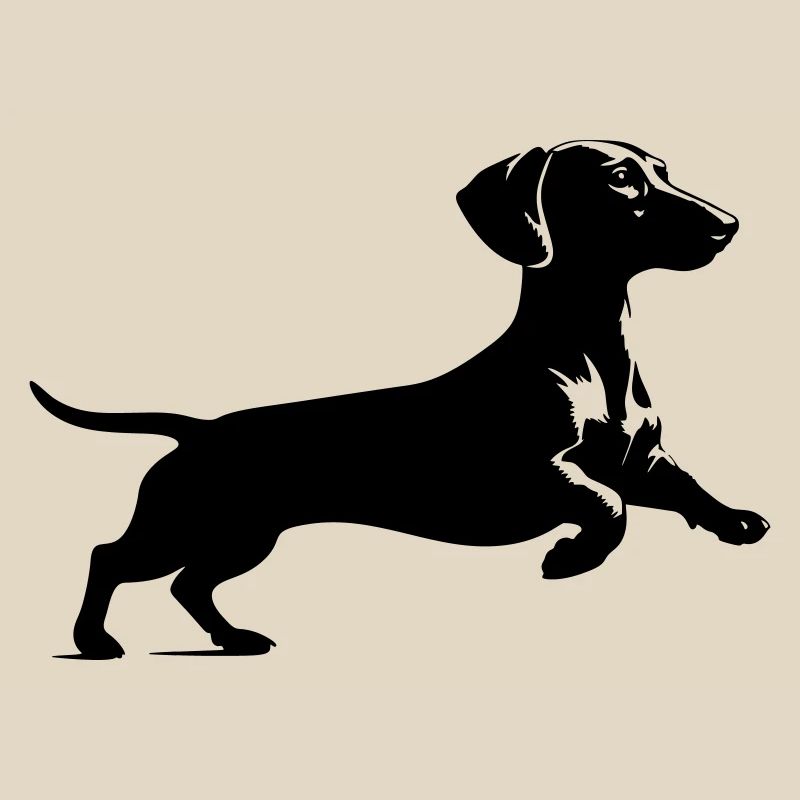 Dachshund